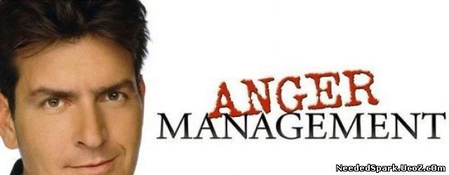 Anger Management Serial Online