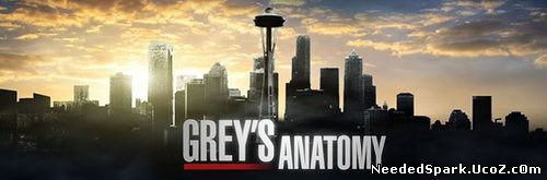 Greys Anatomy Serial Online Subtitrat